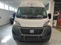Fiat Ducato * 140 CV * KM 0 * 02/2024 * Blanco - thumbnail 2