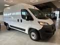 Fiat Ducato * 140 CV * KM 0 * 02/2024 * Blanco - thumbnail 3
