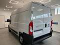Fiat Ducato * 140 CV * KM 0 * 02/2024 * Blanco - thumbnail 5