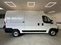 Fiat Ducato * 140 CV * KM 0 * 02/2024 * Blanco - thumbnail 6