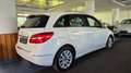 Mercedes-Benz B 200 Aut/Bi-Xen/MFL/Navi/Parkassist/SHZ/Temp Blanc - thumbnail 5