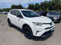 Toyota RAV 4 2.5 Hybrid 2WD Dynamic IVA ESPOSTA COMPRESA    GA - thumbnail 8