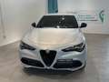 Alfa Romeo Stelvio Stelvio 2.2 Turbodiesel 210 CV AT8 Q4 Veloce Grijs - thumbnail 2