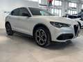 Alfa Romeo Stelvio Stelvio 2.2 Turbodiesel 210 CV AT8 Q4 Veloce Grijs - thumbnail 3