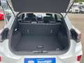 Ford Puma 1.0 l EcoBoost Hybrid (MHEV) Titanium X Autom. NAV Blanco - thumbnail 24