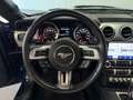 Ford Mustang Fastback 2.3 EcoBoost aut. SHELBY Blu/Azzurro - thumbnail 11