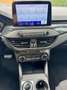 Ford Focus ST-Line X, Automatik, Navi, LED, AHK, Alus, NSW Gris - thumbnail 15
