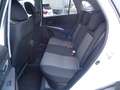 Suzuki (SX4) S Cross 1.4 Turbo Comfort 4x4 AHK / WR Weiß - thumbnail 6