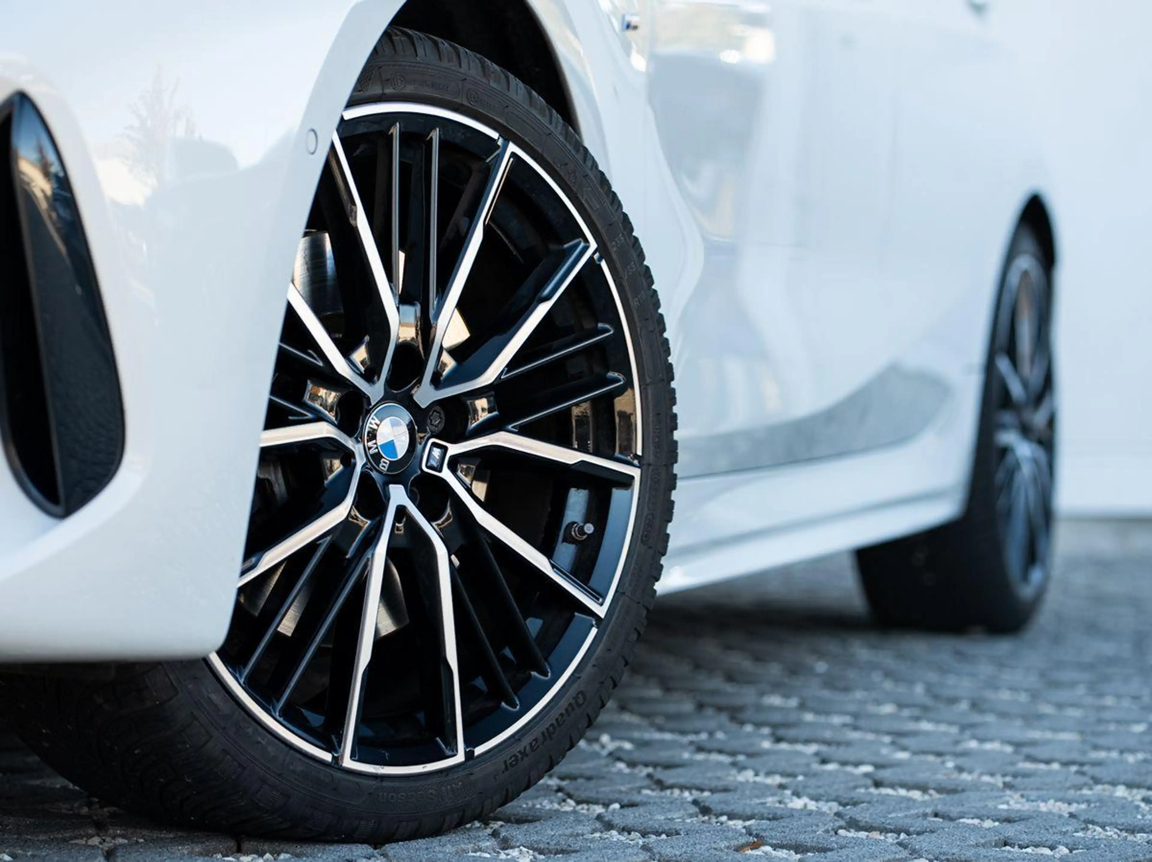 BMW 120 i M-Sport 19 GSD KoZg RFK DAB HiFi LiveCoProf — photo 5