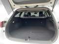 Kia Ceed / cee'd Sportswagon Vision 1.5 T-GDI DCT7 Kamera CarPlay Bianco - thumbnail 12