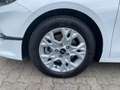 Kia Ceed / cee'd Sportswagon Vision 1.5 T-GDI DCT7 Kamera CarPlay Bianco - thumbnail 7