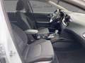 Kia Ceed / cee'd Sportswagon Vision 1.5 T-GDI DCT7 Kamera CarPlay Bianco - thumbnail 10