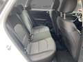 Kia Ceed / cee'd Sportswagon Vision 1.5 T-GDI DCT7 Kamera CarPlay Bianco - thumbnail 11