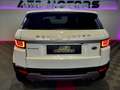 Land Rover Range Rover Evoque 2.0 Td4 SE ALLRAD AHK wenig Km Weiß - thumbnail 12