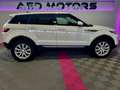 Land Rover Range Rover Evoque 2.0 Td4 SE ALLRAD AHK wenig Km Weiß - thumbnail 7