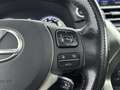 Lexus NX 300h AWD Luxury Line Limited | Stoelverwarming | Panora Grijs - thumbnail 22