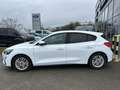 Ford Focus 1.0 EcoBoost 125ch Titanium X BVA Weiß - thumbnail 8