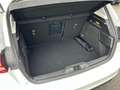Ford Focus 1.0 EcoBoost 125ch Titanium X BVA Weiß - thumbnail 13