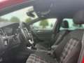 Volkswagen Golf GTI 7 VII Performance 2.0 TSI AHK-klappbar El. Panodac Roşu - thumbnail 13