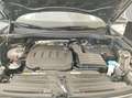 Volkswagen Tiguan R-Line 2,0 l TDI SCR 4MOTION 142 kW (193 Grün - thumbnail 19