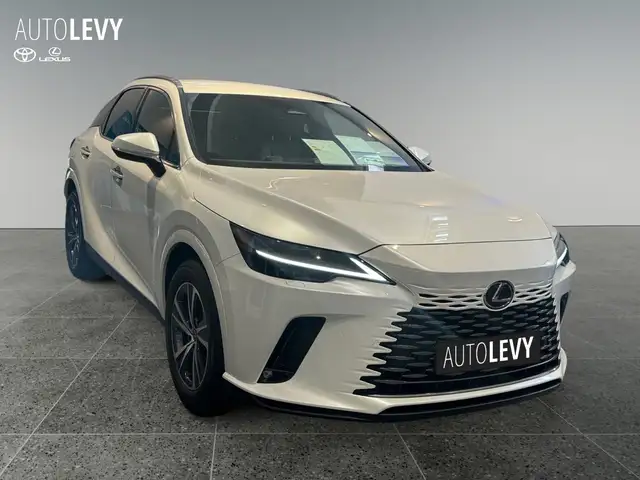 Lexus RX view 5