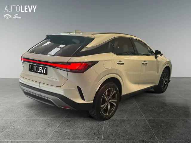 Lexus RX view 4