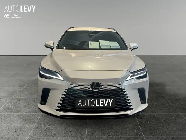 Lexus RX view 6