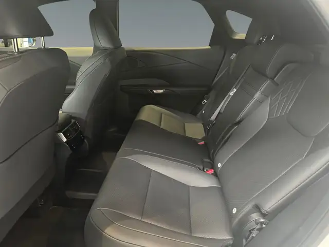 Lexus RX view 11