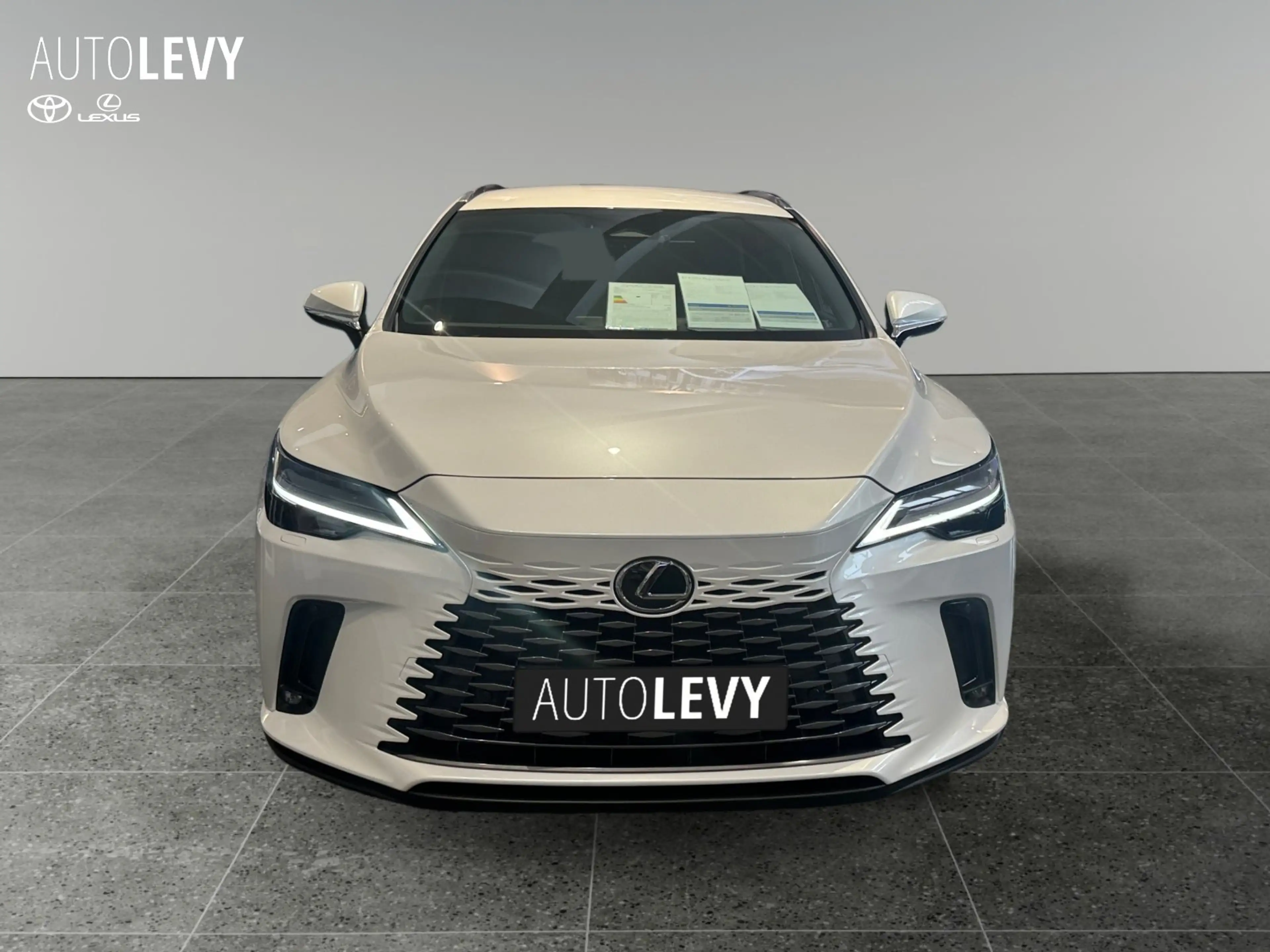 Lexus RX 450h + Plug-in Business Line LEDER/NAVI/4x4 — photo 6