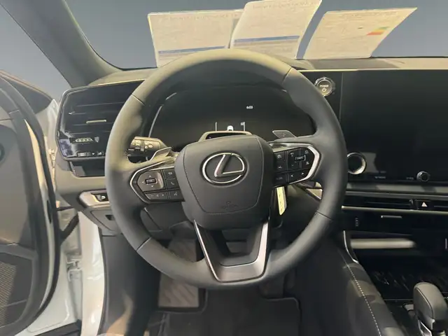 Lexus RX view 10