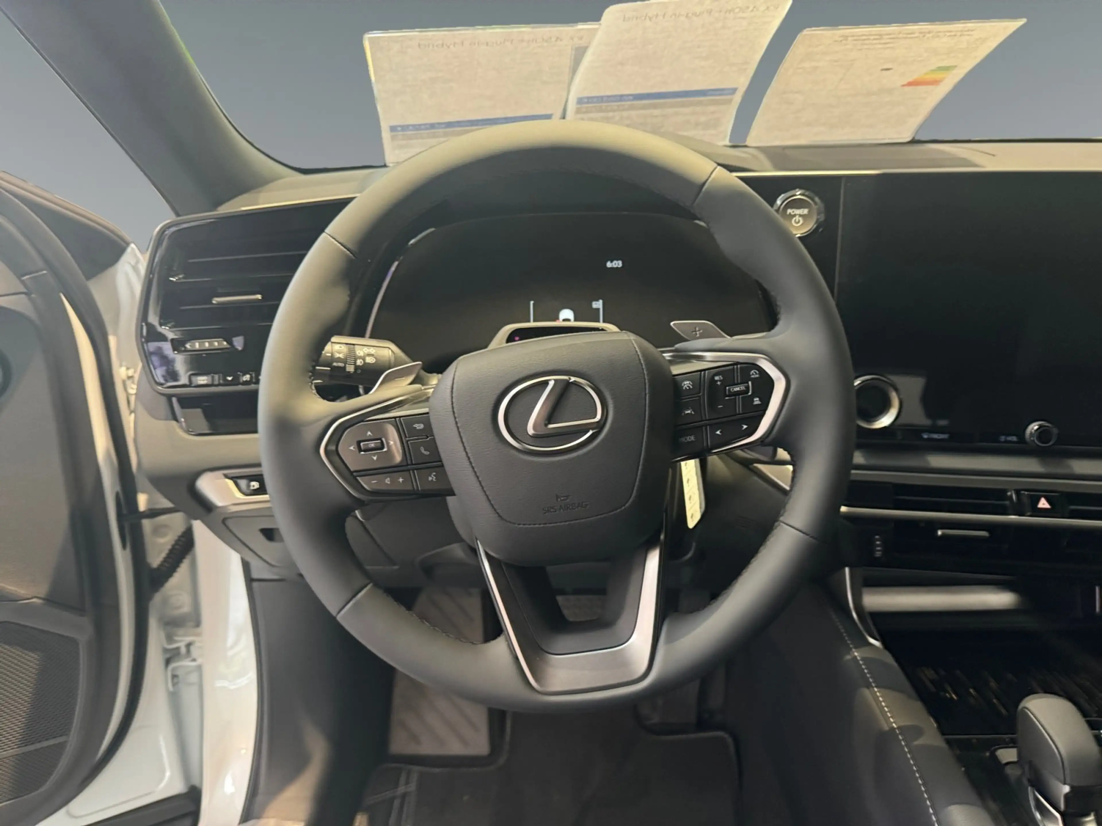 Lexus RX 450h + Plug-in Business Line LEDER/NAVI/4x4 — photo 10