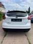 Ford Focus Lim. Trend Weiß - thumbnail 6