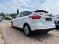 Ford Focus Lim. Trend Weiß - thumbnail 7
