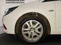 Opel Astra K 1.2 Turbo Edition LM LED W-Paket PDC Weiß - thumbnail 19