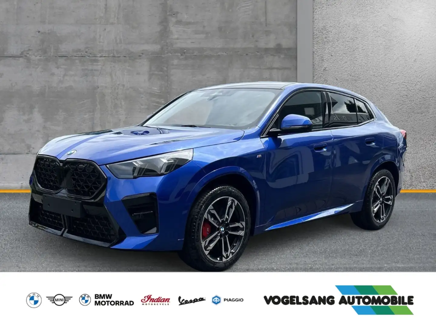 BMW X2 20i sDrive M Sport Park-Assistent Sportpaket HUD A Синий - 1