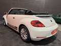 Volkswagen Coccinelle II 1.2 TSI 105 BlueMotion Technology Blanco - thumbnail 17