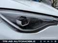 Renault ZOE Evolution EV50 110hp Klimaautomatik Keyless PDC uv Weiß - thumbnail 14