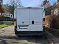 Fiat Ducato Ducato 30 L1H1 115 Multijet Weiß - thumbnail 3
