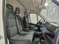 Fiat Ducato 33 2.0 MJT PM-TM Furgone  - IVA ESCLUSA Blanc - thumbnail 11