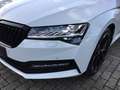 Skoda Superb Combi 2.0 TDI DSG SPORTLINE *CANTON *PANO *AHK *M Weiß - thumbnail 6