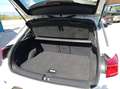 Volkswagen T-Roc 24/04/2026 Blanco - thumbnail 9