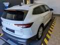 Skoda Enyaq iV80 320,-ohne Anzahlung AHK Pano Wärmepumpe Weiß - thumbnail 4