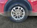 Ford Kuga Titanium X Hybrid *AHK*HUD*Tech* Head-Up Rot - thumbnail 17