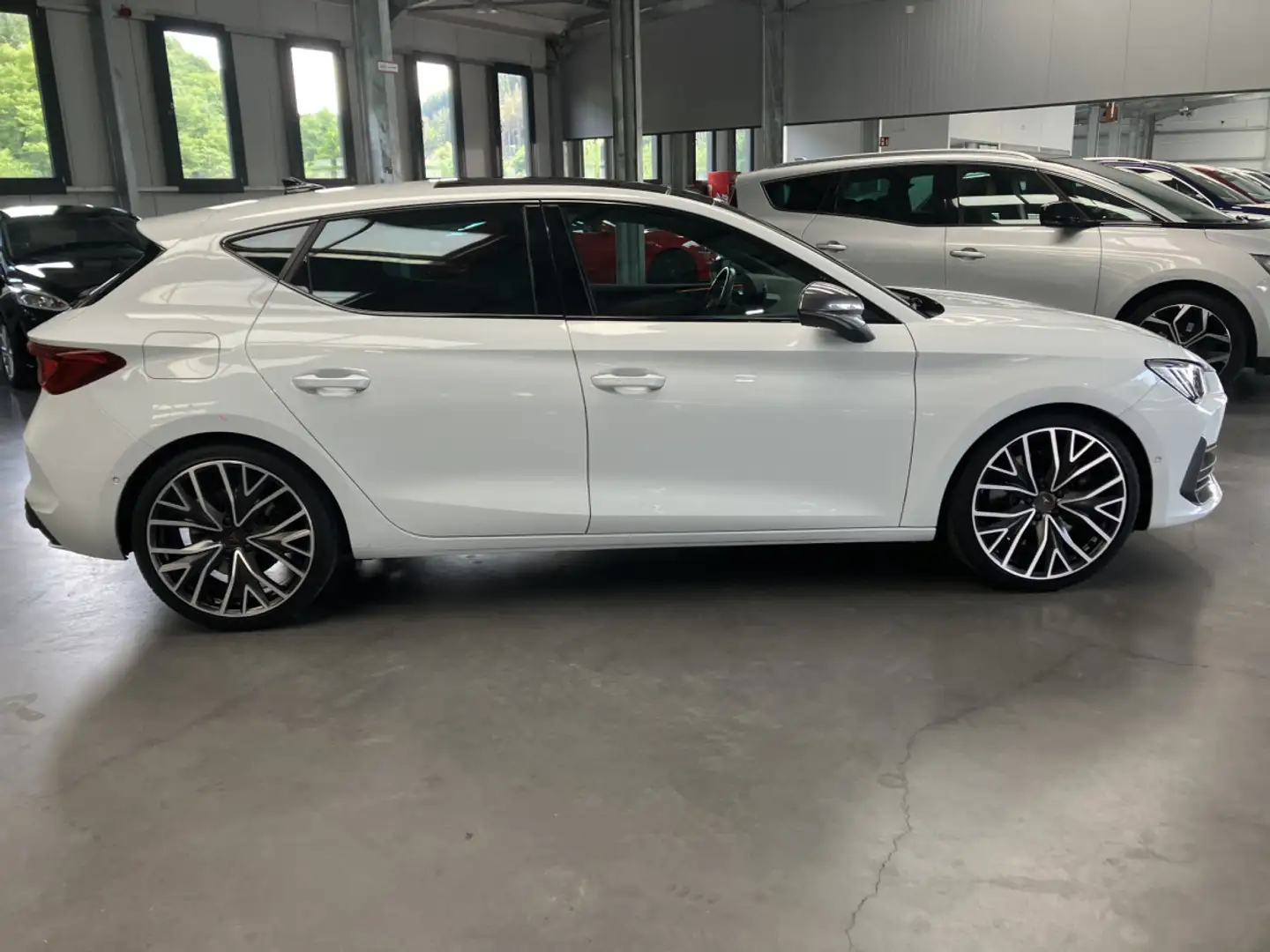 CUPRA Leon VZ DSG 300HP Blanc - 2