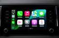 Skoda Karoq 1.5 TSI 150pk Camera Carplay Stoelverwarming Gris - thumbnail 18