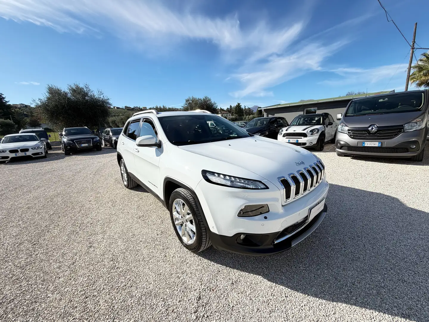 Jeep Cherokee 2.0 Mjt II 170CV 4WD 134.859 km unico proprietario Bianco - 2