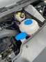 Volkswagen T6 Multivan Multivan Generation Six TSI Beige - thumbnail 19