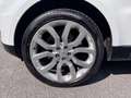Land Rover Range Rover 3.0 tdV6 HSE aut. PANO CAMERA PRIVACY Bianco - thumbnail 7