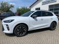 CUPRA Terramar DSG AHK HeadUp App 2+3-Garantie SOFORT Blanco - thumbnail 30