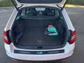 Skoda Octavia Combi 2.0 TDI 184 ch CR FAP DSG6 4x4 RS - thumbnail 13